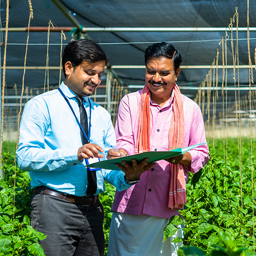 Sustainability Framework