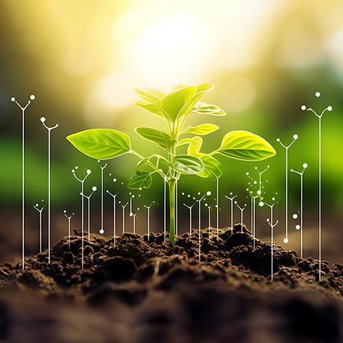 Sustainability Framework